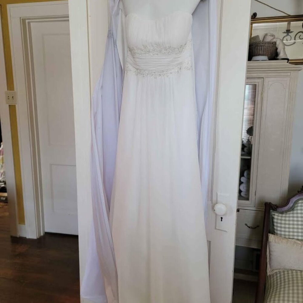 David's Bridal Wedding Dress - Picture 8 of 8